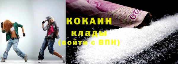 прущие крисы Бородино