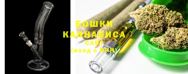 прущие крисы Бородино
