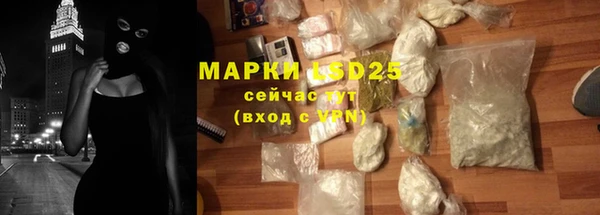прущие крисы Бородино