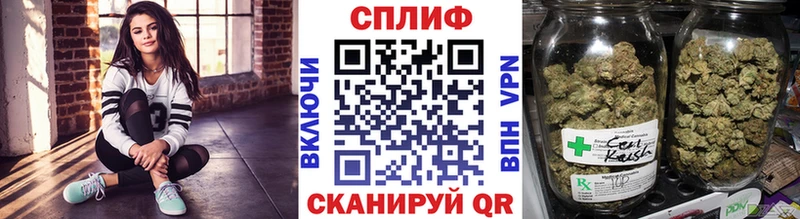 МЕГА рабочий сайт  Кизляр  Бошки Шишки планчик 